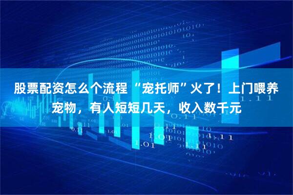 股票配资怎么个流程 “宠托师”火了！上门喂养宠物，有人短短几天，收入数千元