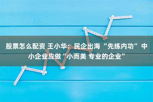 股票怎么配资 王小华：民企出海 “先练内功” 中小企业应做“小而美 专业的企业”